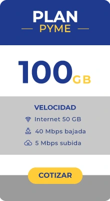 Plan 100 GB